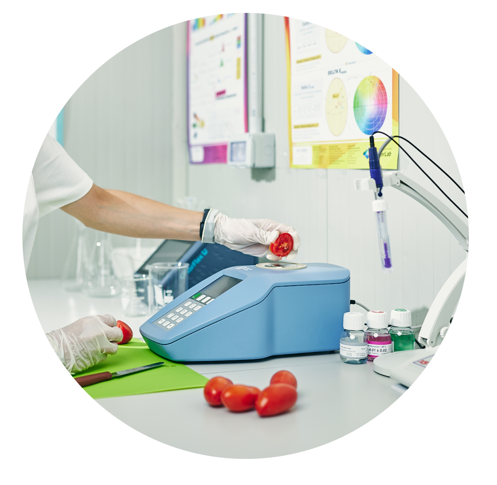 analisi in laboratorio per controllo qualità pomodori