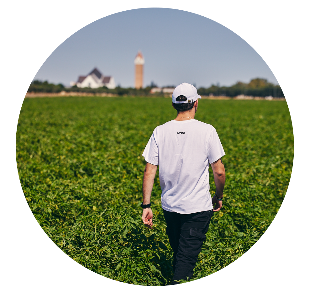 apod organizzazione produttiva puglia, lazio e sud italia