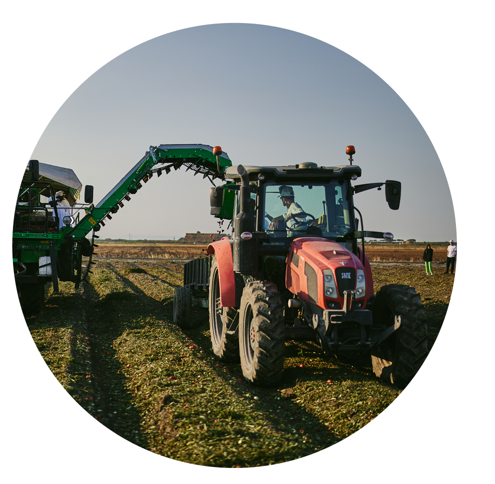 Noleggio trattori per raccolta pomodori