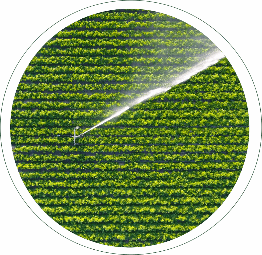noleggio di macchine per l'irrigazione